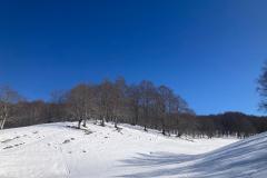 795f3081-4b8b-457c-b67e-ccbe9fe5ea94