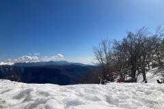 d0675a78-3154-4b6d-8ae8-068fe4c4316d