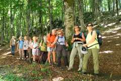6-Grupp