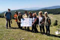 Gruppo