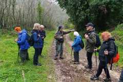 gruppo