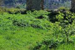mura2