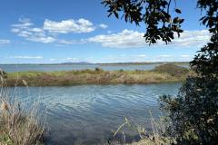 2025 marzo Verso e attraverso il centro storico di Orbetello parco della laguna ed il centro storico