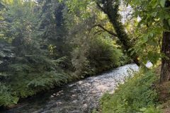 Simbrini