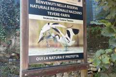 2026 -09 Riserva Natura Tevere Farfa
