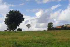 1_cielo