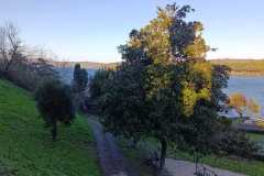 terza
